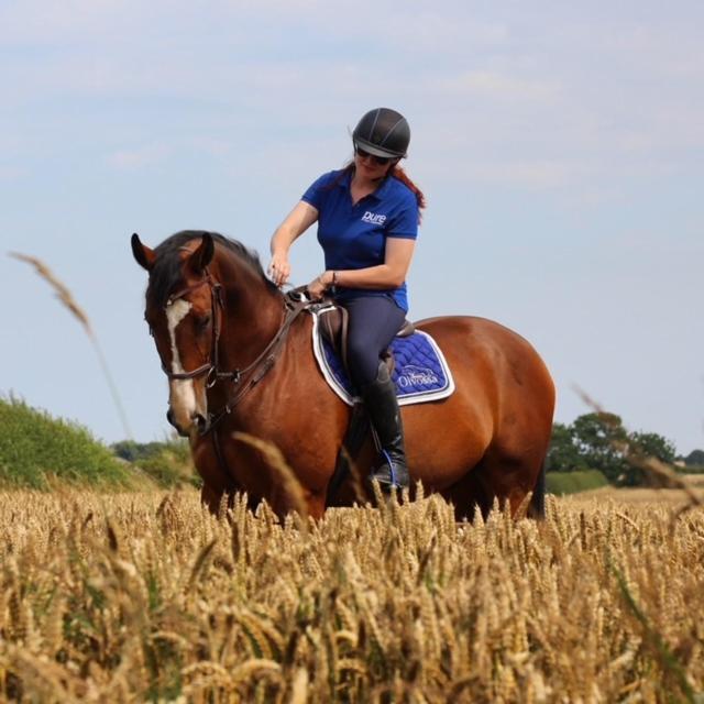 惠特利湾Holywell Grange Farm别墅 外观 照片
